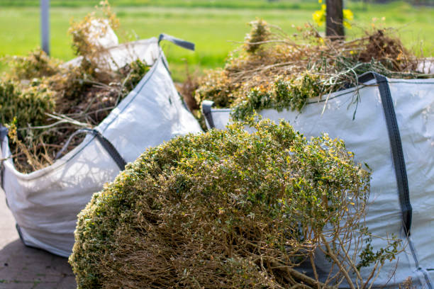 Best Commercial Junk Removal  in Butte, MT